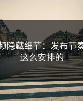 蘑菇视频隐藏细节：发布节奏原来是这么安排的