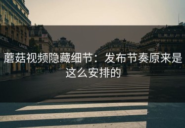 蘑菇视频隐藏细节：发布节奏原来是这么安排的