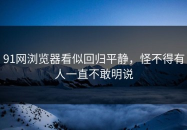 91网浏览器看似回归平静，怪不得有人一直不敢明说