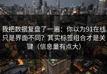 我把数据复盘了一遍：你以为91在线只是界面不同？其实标签组合才是关键（信息量有点大）