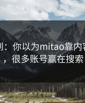 刚打听到：你以为mitao靠内容赢？不，很多账号赢在搜索