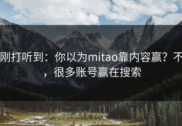 刚打听到：你以为mitao靠内容赢？不，很多账号赢在搜索