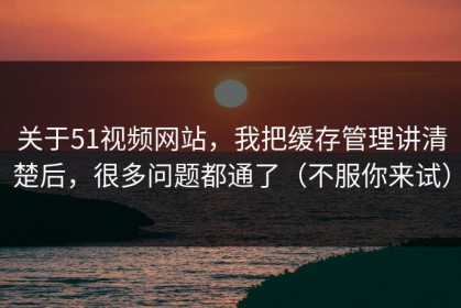 关于51视频网站，我把缓存管理讲清楚后，很多问题都通了（不服你来试）