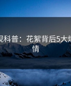 柚子影视科普：花絮背后5大爆点的隐情