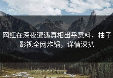 网红在深夜遭遇真相出乎意料，柚子影视全网炸锅，详情深扒