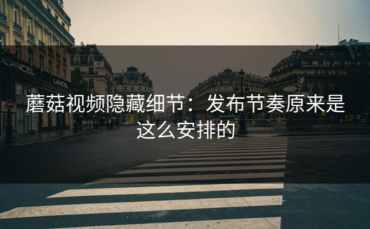 蘑菇视频隐藏细节:发布节奏原来是这么安排的 蘑菇视频隐藏细节:发布节奏原来是这么安排的